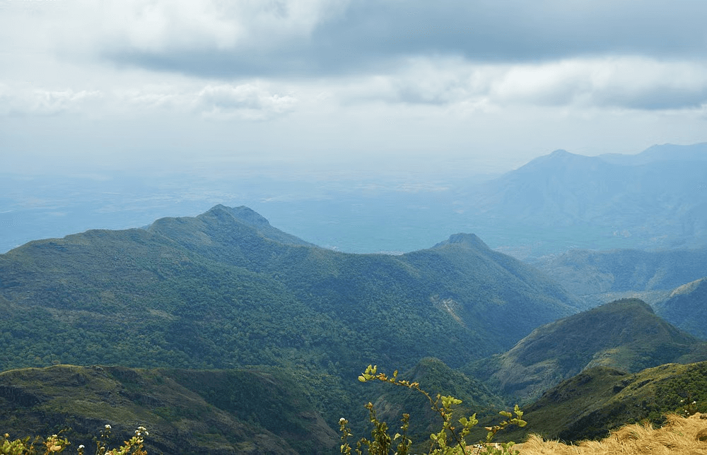 Kodai Lake